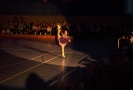 _D211069.jpg