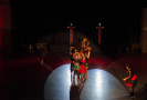 _D211771.jpg